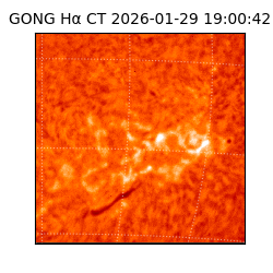 gong - 2026-01-29T19:00:42