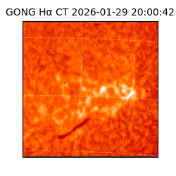 gong - 2026-01-29T20:00:42