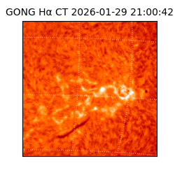 gong - 2026-01-29T21:00:42