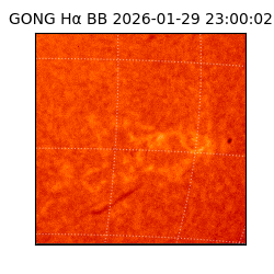 gong - 2026-01-29T23:00:02