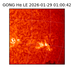 gong - 2026-01-29T01:00:42