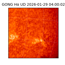 gong - 2026-01-29T04:00:02