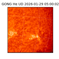 gong - 2026-01-29T05:00:02