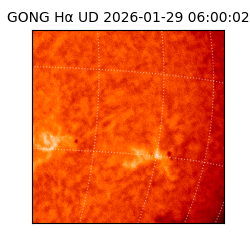 gong - 2026-01-29T06:00:02