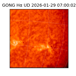 gong - 2026-01-29T07:00:02