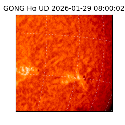 gong - 2026-01-29T08:00:02
