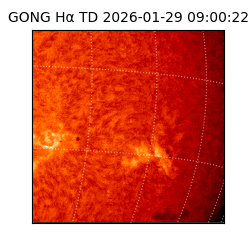 gong - 2026-01-29T09:00:22