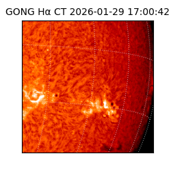 gong - 2026-01-29T17:00:42