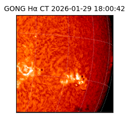 gong - 2026-01-29T18:00:42