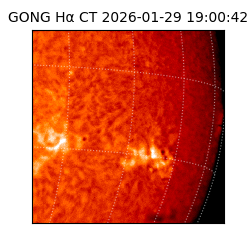gong - 2026-01-29T19:00:42