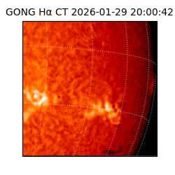 gong - 2026-01-29T20:00:42