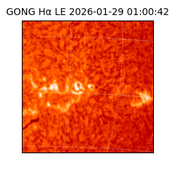 gong - 2026-01-29T01:00:42