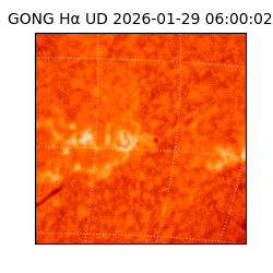 gong - 2026-01-29T06:00:02