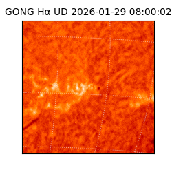 gong - 2026-01-29T08:00:02