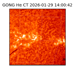 gong - 2026-01-29T14:00:42