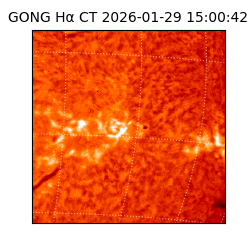 gong - 2026-01-29T15:00:42