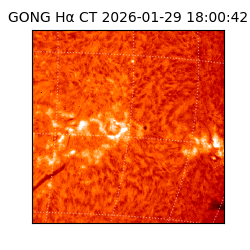 gong - 2026-01-29T18:00:42