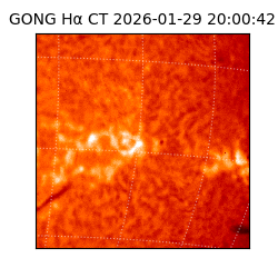 gong - 2026-01-29T20:00:42