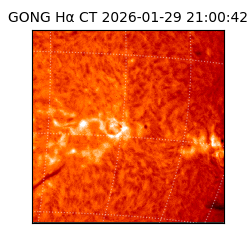 gong - 2026-01-29T21:00:42