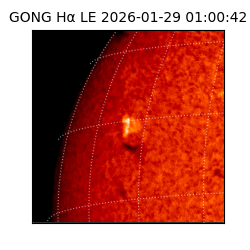 gong - 2026-01-29T01:00:42