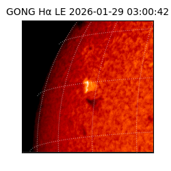 gong - 2026-01-29T03:00:42