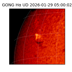 gong - 2026-01-29T05:00:02