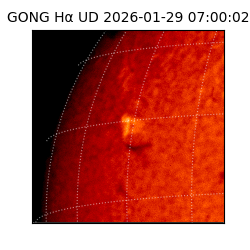 gong - 2026-01-29T07:00:02