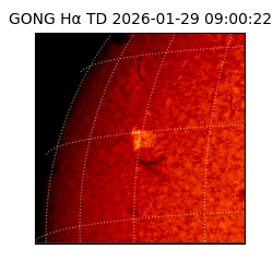 gong - 2026-01-29T09:00:22