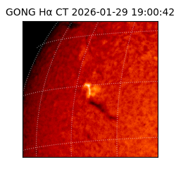 gong - 2026-01-29T19:00:42