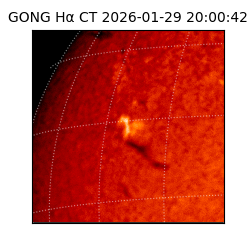 gong - 2026-01-29T20:00:42