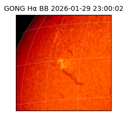 gong - 2026-01-29T23:00:02