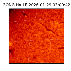 gong - 2026-01-29T03:00:42