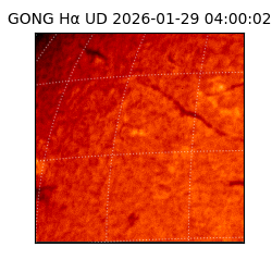 gong - 2026-01-29T04:00:02