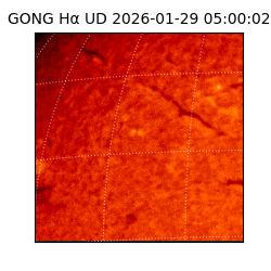 gong - 2026-01-29T05:00:02