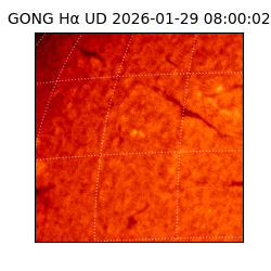 gong - 2026-01-29T08:00:02