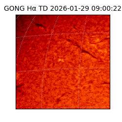 gong - 2026-01-29T09:00:22