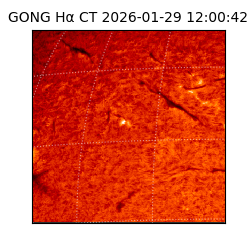 gong - 2026-01-29T12:00:42