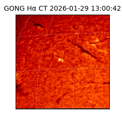 gong - 2026-01-29T13:00:42