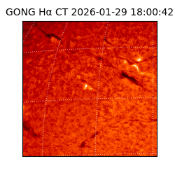 gong - 2026-01-29T18:00:42