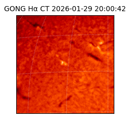 gong - 2026-01-29T20:00:42