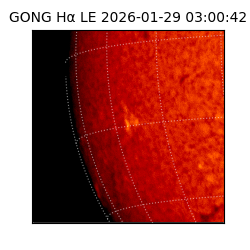 gong - 2026-01-29T03:00:42