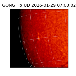 gong - 2026-01-29T07:00:02