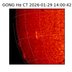 gong - 2026-01-29T14:00:42