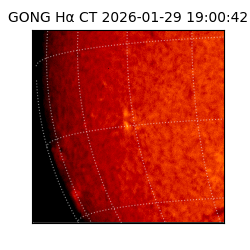 gong - 2026-01-29T19:00:42
