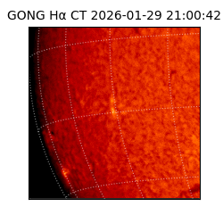 gong - 2026-01-29T21:00:42