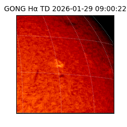 gong - 2026-01-29T09:00:22