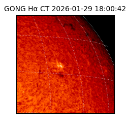 gong - 2026-01-29T18:00:42