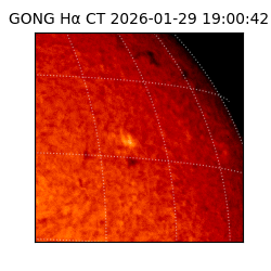 gong - 2026-01-29T19:00:42