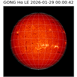 gong - 2026-01-29T00:00:42