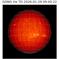 gong - 2026-01-29T09:00:22